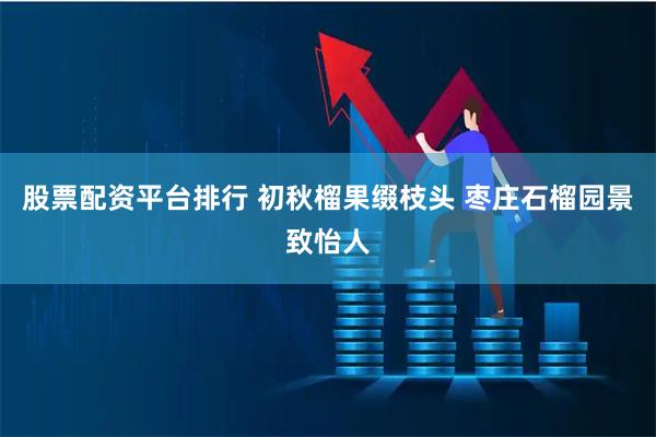 股票配资平台排行 初秋榴果缀枝头 枣庄石榴园景致怡人